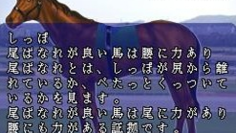 《赛马领航员 赛马支援》 日版NDS版 游戏截图 1